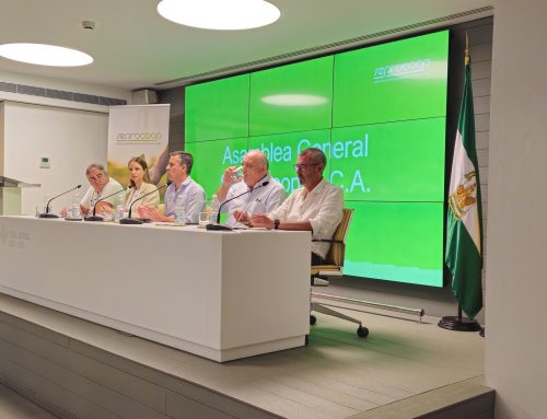 SEPROCOOP CONSOLIDA SU CRECIMIENTO EN ANDALUCÍA OCCIDENTAL CON CIFRAS RÉCORD DE FACTURACIÓN Y VENTAS