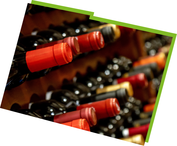 Seprocoop_Triptico_2026_Imagenes-05